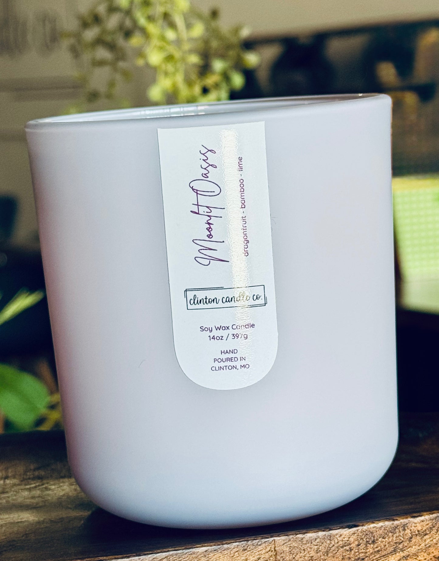 Moonlit Oasis 14oz Candle