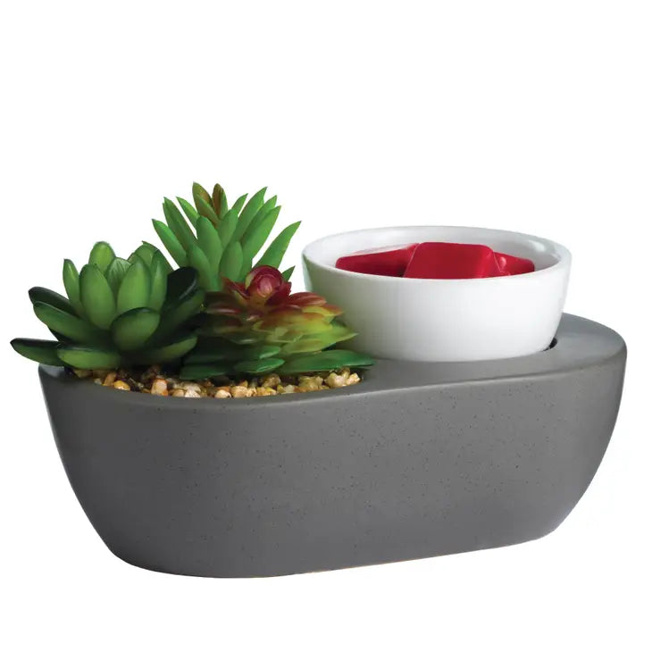 scentsy succulent Succulent Wax Warmer – Clinton Candle Co. LLC