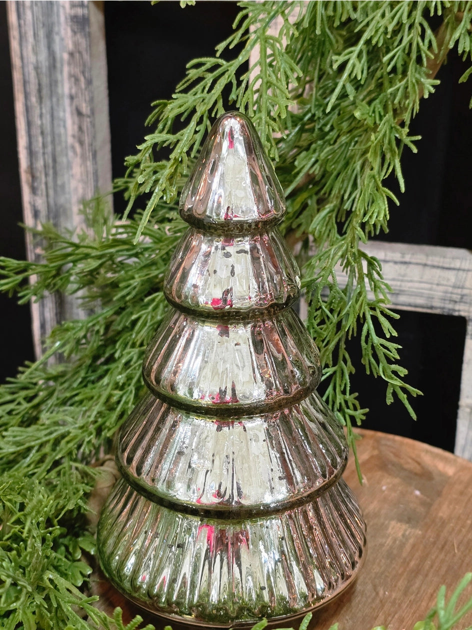 Silver Mercury Tree - Tall